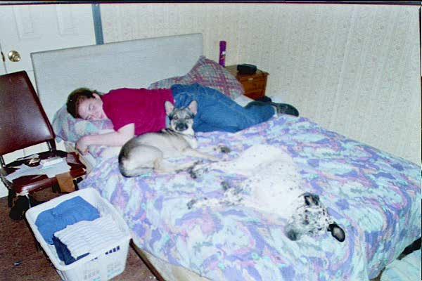 Peanut and pets, sleeping on bed